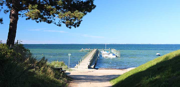 Malerische Stege und Strandabschnitte laden zum Spazierengehen ein schoenste-orte-daenemarks-blick-auf-steg-bei-blauem-himmel