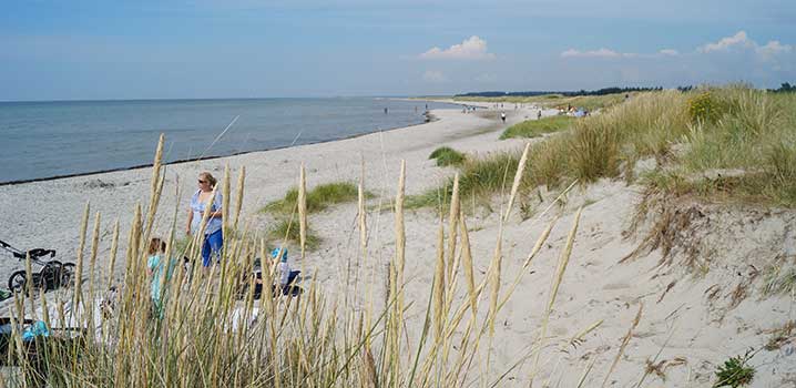 Noordoost Jutland Noordoost Jutland