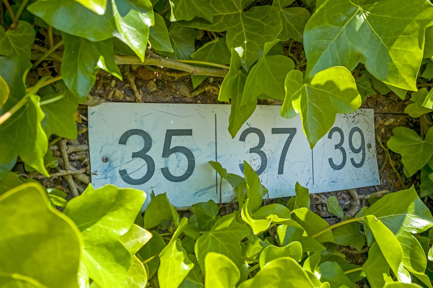 Ferienhaus 10-0895 in Skagen, Nordby - Bild 2