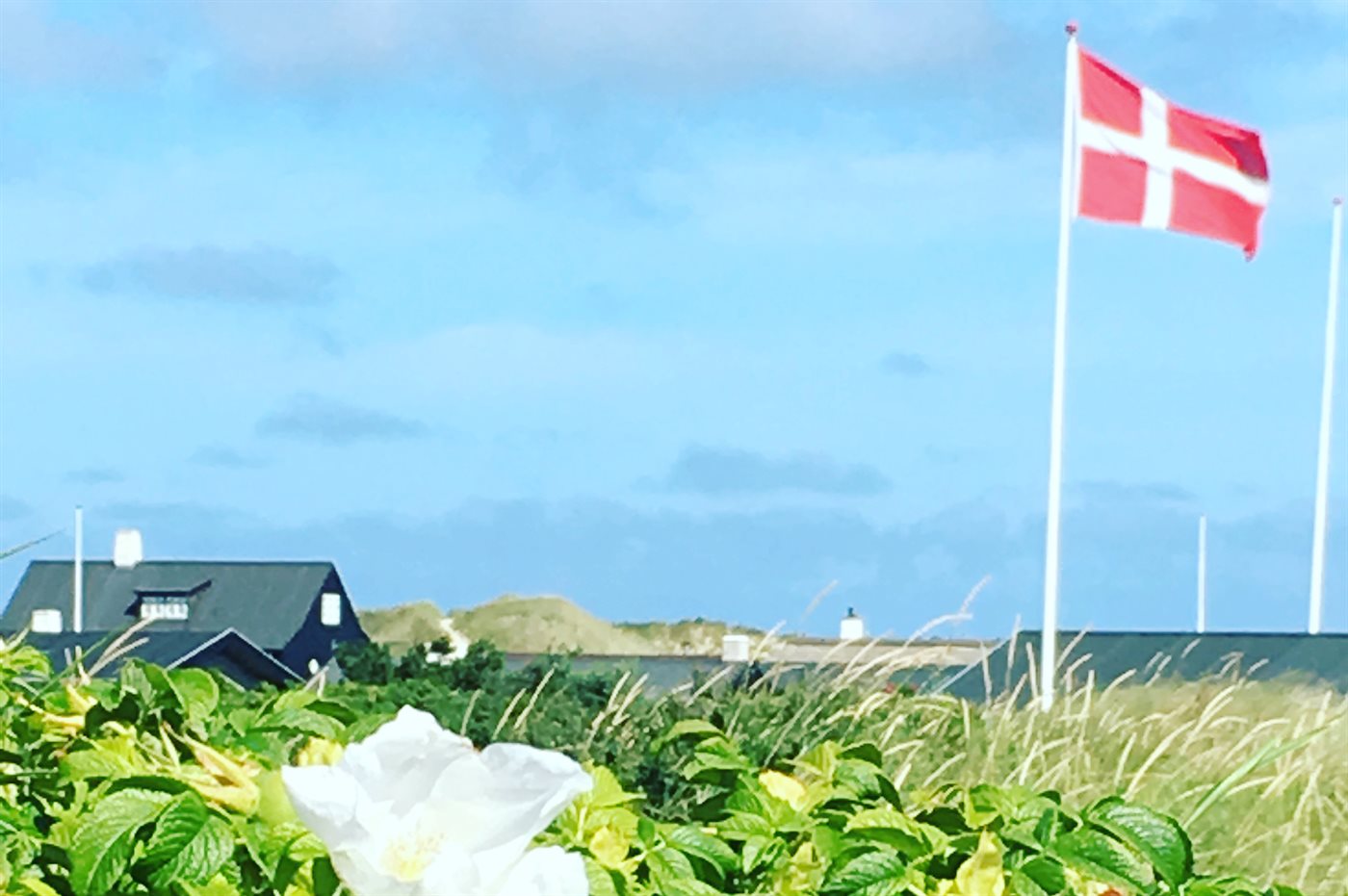 Ferienhaus 10-1085 in Gl. Skagen - Bild 4