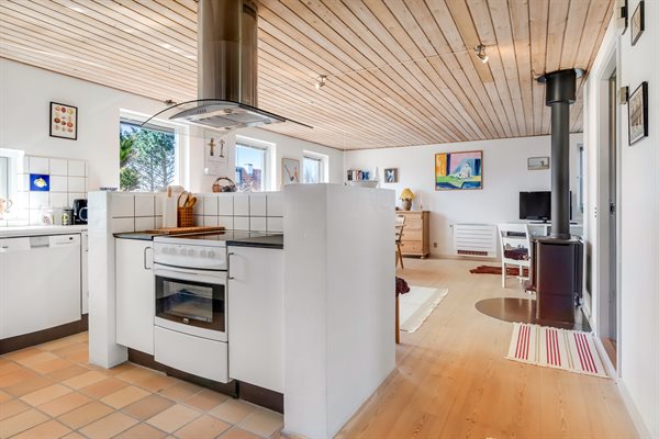 Sommerhus 10-1117
