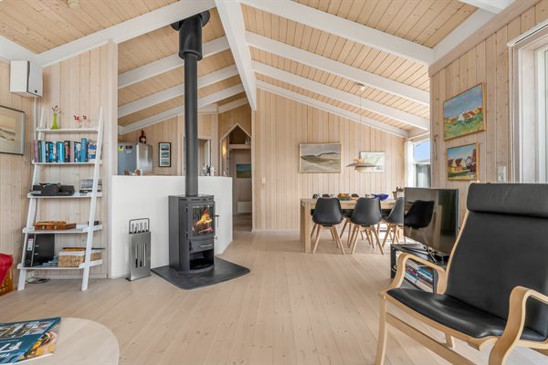 Sommerhus 10-1119