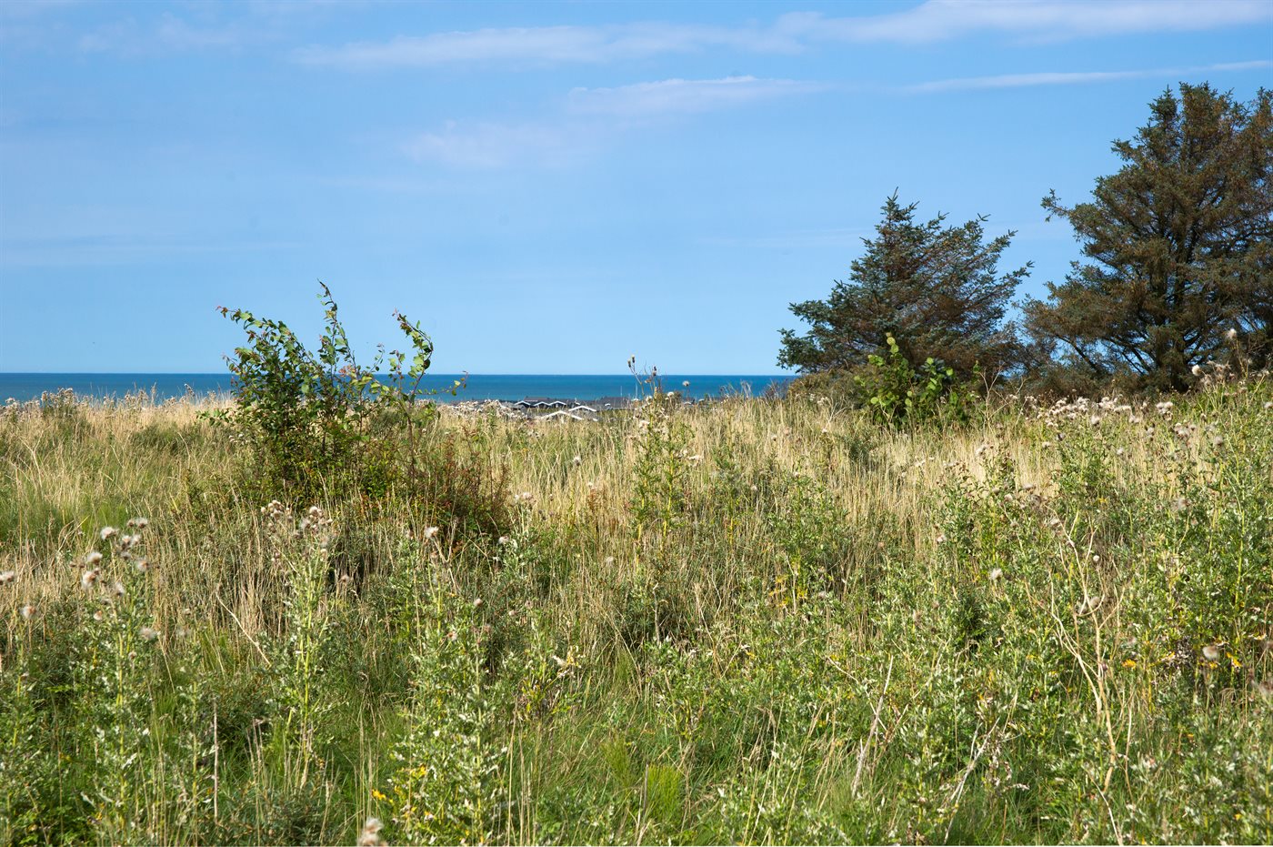 Wohlfühlhaus mit Sauna & Whirlpool – nah am Meer in Skallerup - Bild 2