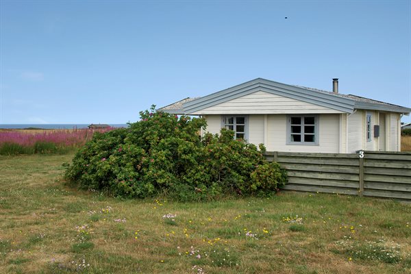 sommerhus 10-8036