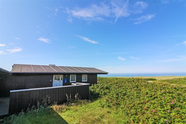 sommerhus 11-0358