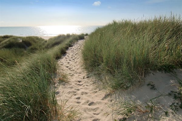 Sommerhus 11-4417