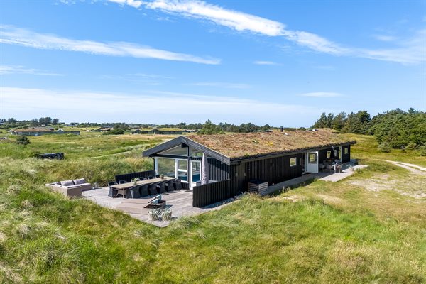 Ferienhaus fr 12 Personen mit Pool in Grnhj