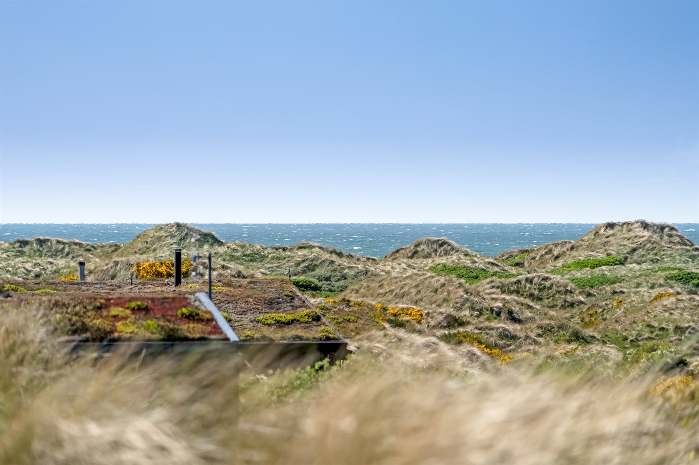 Urlaub mit Meerblick: Gemütliches Ferienhaus in Saltum - Bild 2