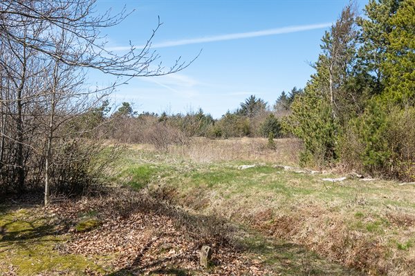 Sommerhus 13-0478