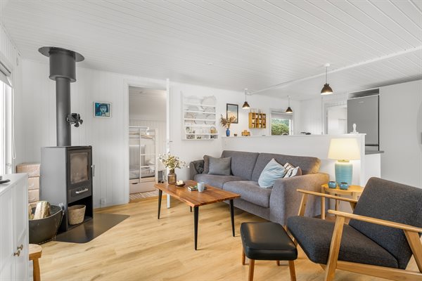 Sommerhus 14-0619