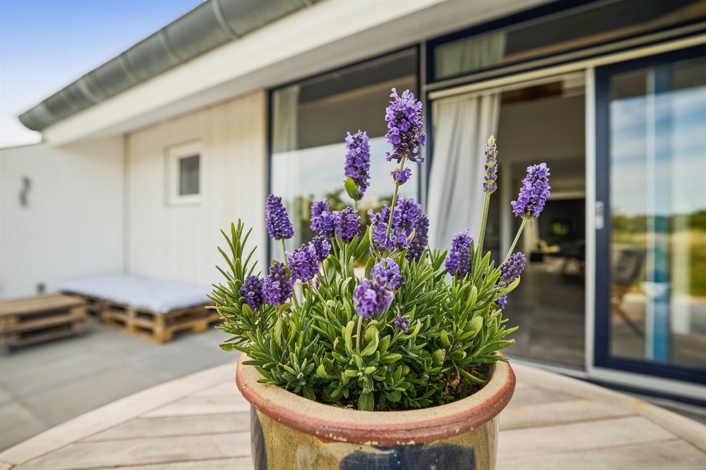 Ferienhaus 14-0813 in Blokhus - Bild 2