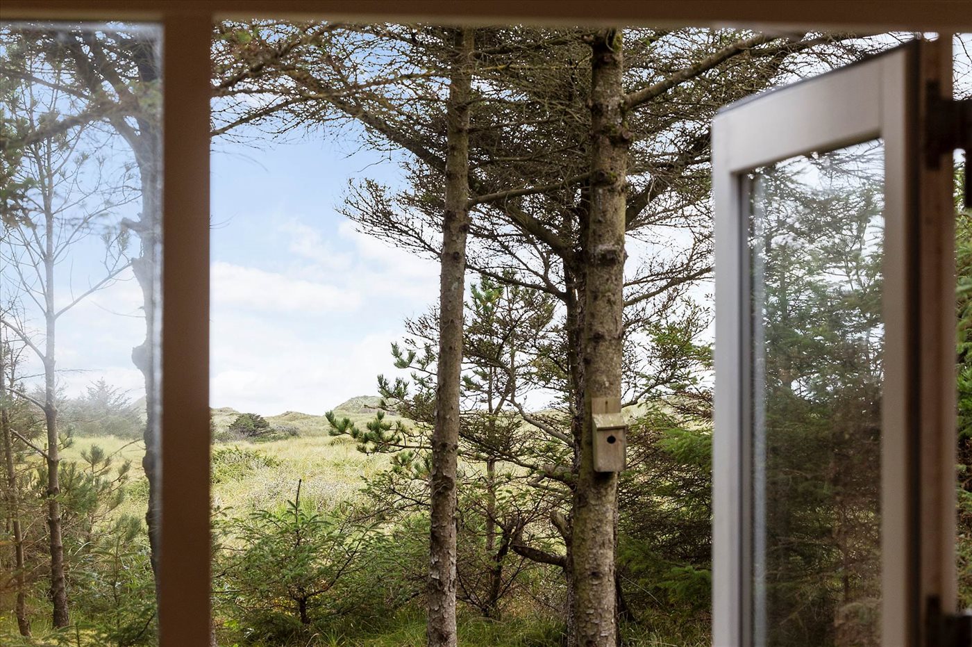 Ferienhaus 14-0889 in Blokhus - Bild 2