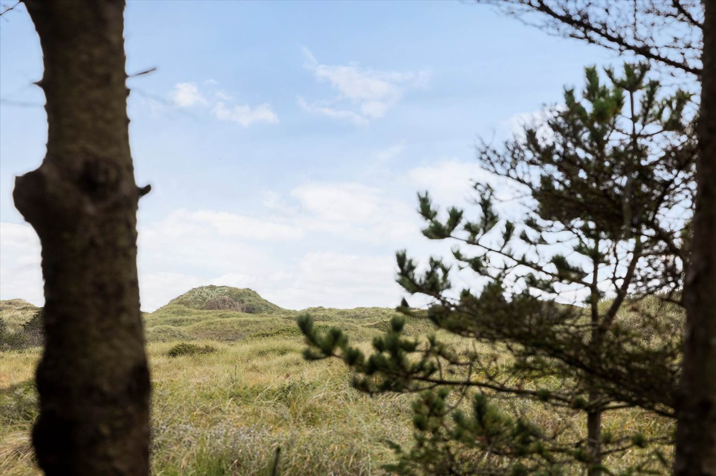 Ferienhaus 14-0889 in Blokhus - Bild 5