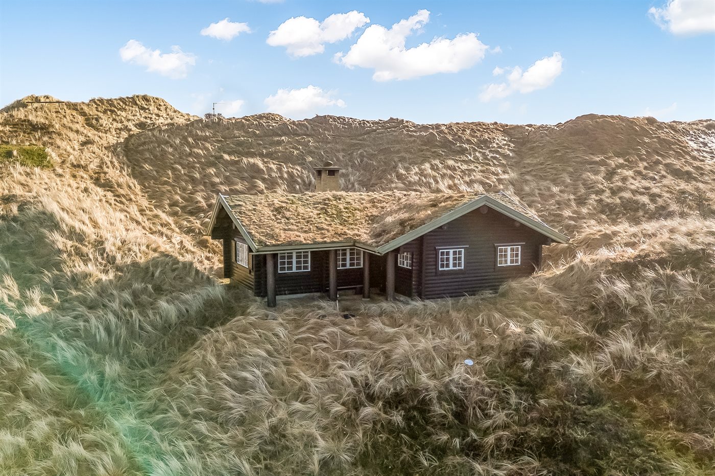 Gemütliches Ferienhaus Blokhus mit Hund – nah am Strand