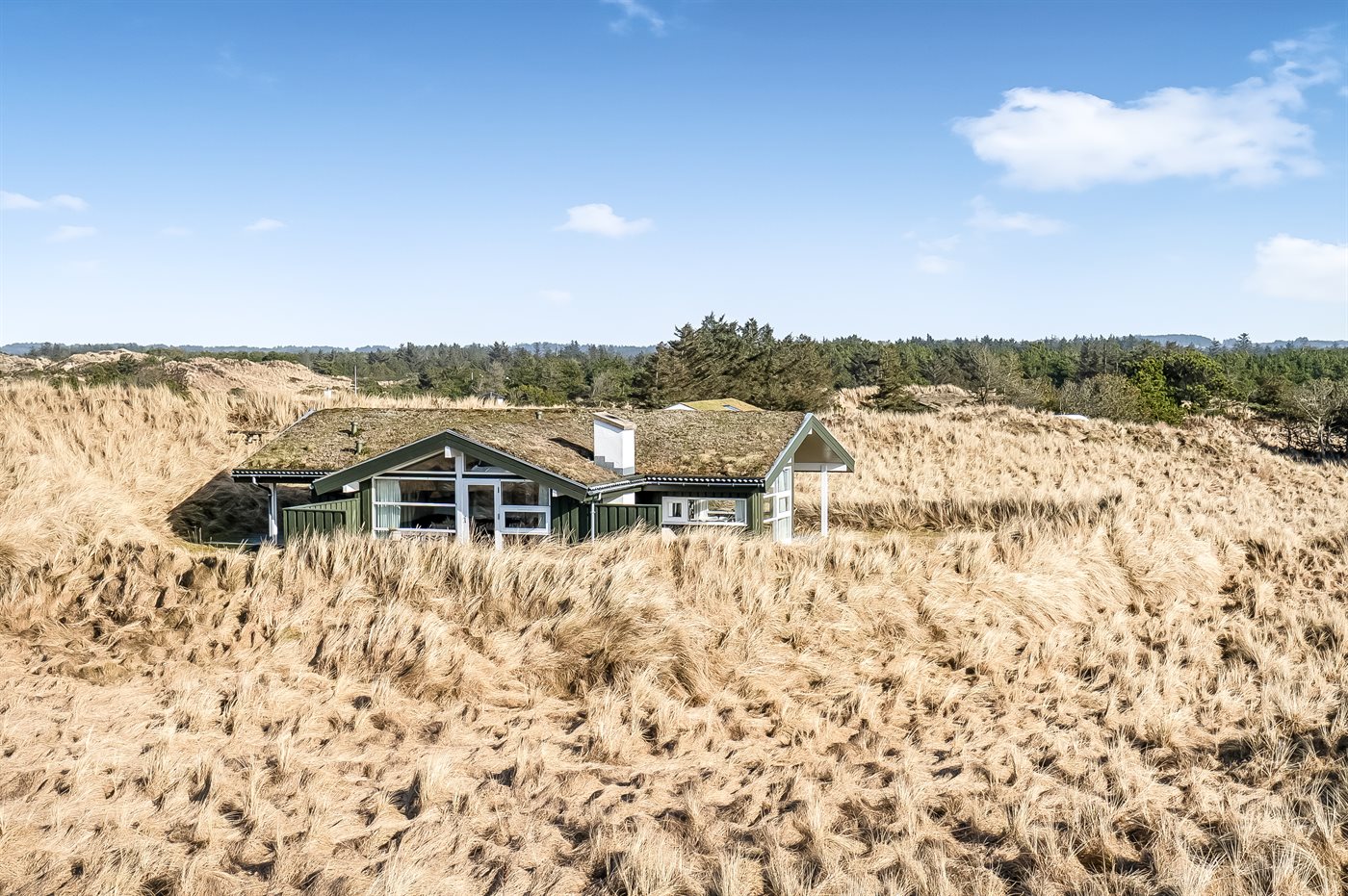 Strandhaus Blokhus mit Meerblick – Sauna & Whirlpool