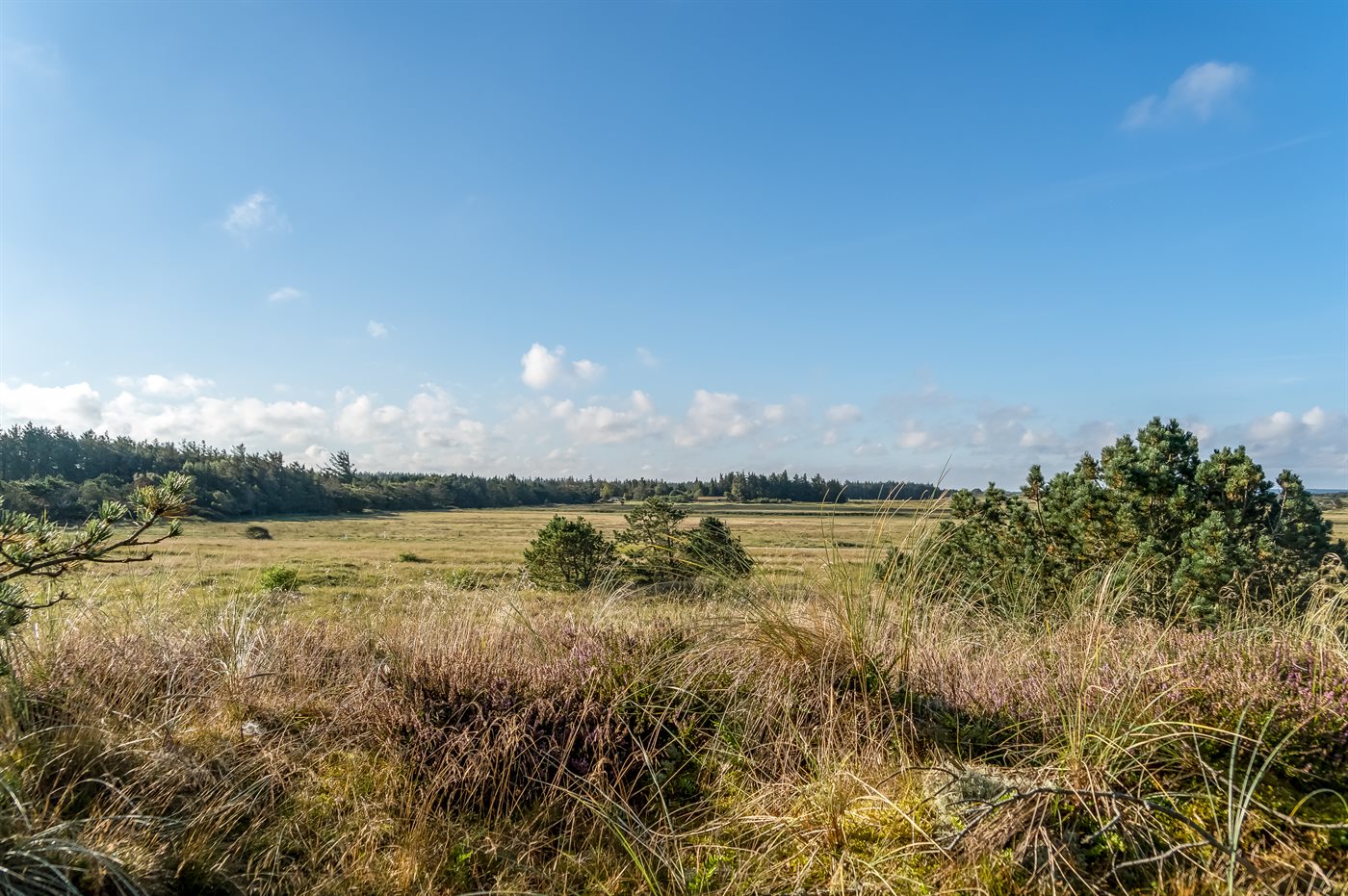 Nordsee-Idylle mit Sauna, Kamin und Strandnähe in Rödhus - Bild 3