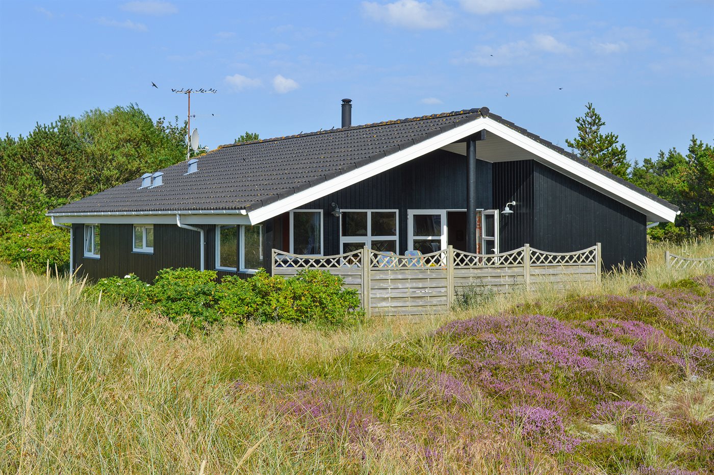 Dänische Idylle: Gemütliches Ferienhaus mit Sauna & Whirlpool - Bild 2
