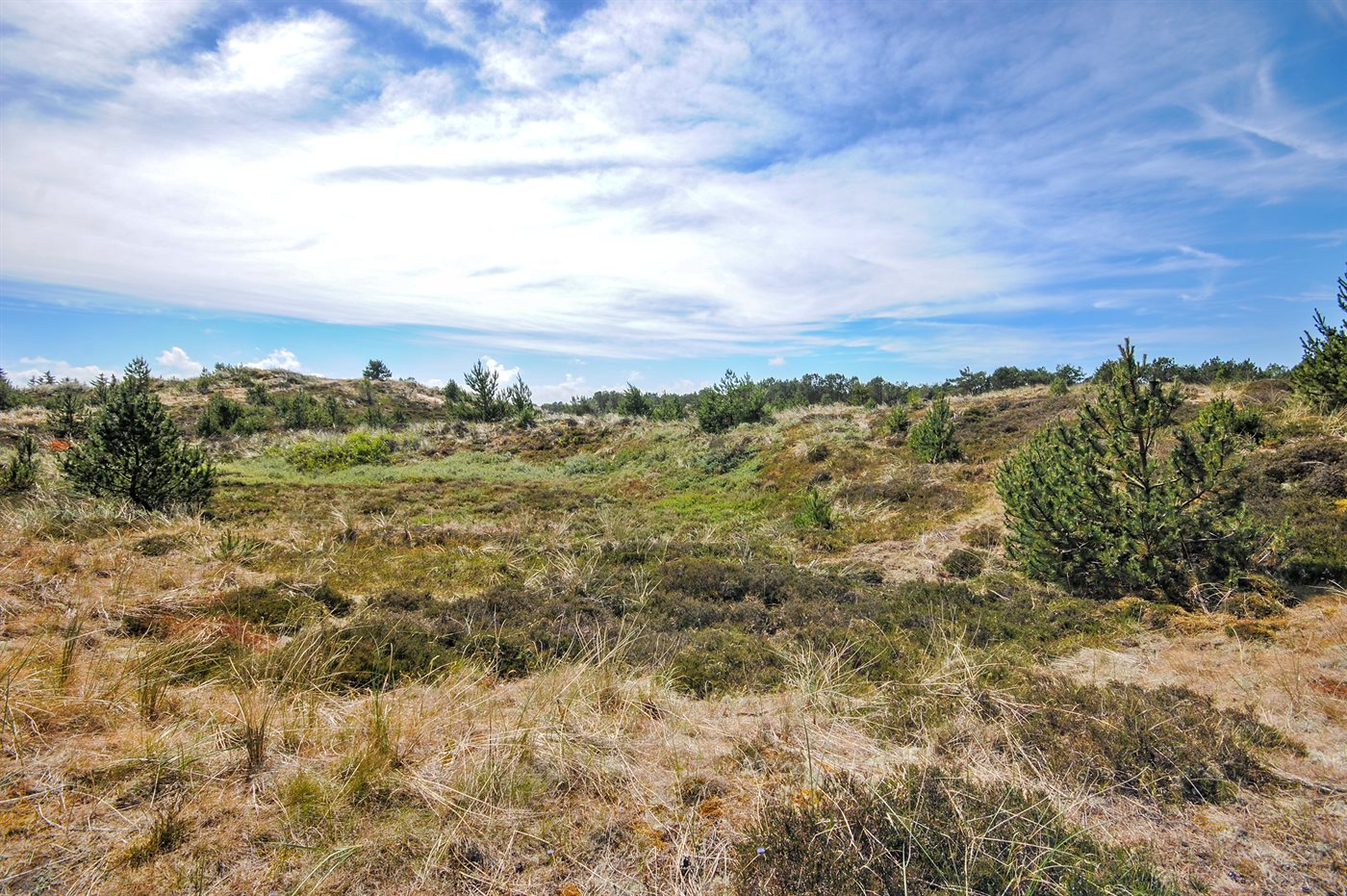 Einladendes Ferienhaus in Vorupör – Natur und Gemütlichkeit! - Bild 3