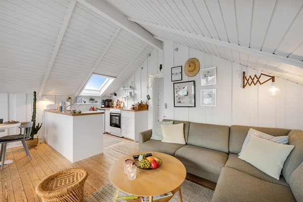 Sommerhus 20-1010