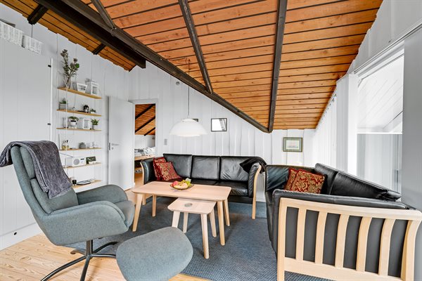 Sommerhus 20-1017