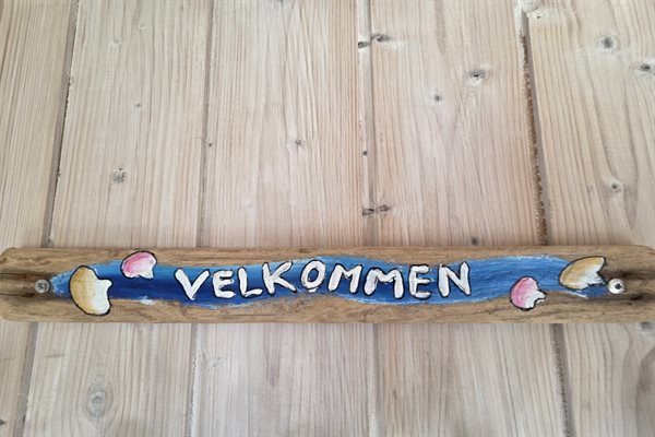 Sommerhus 20-1119