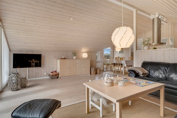 Sommerhus 20-1629