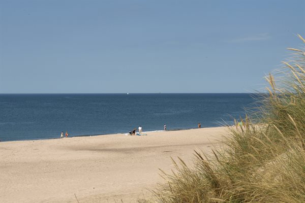 Sommerhus 20-2187