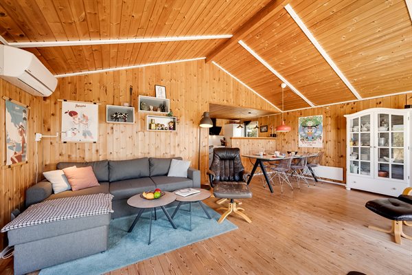 Sommerhus 20-2207