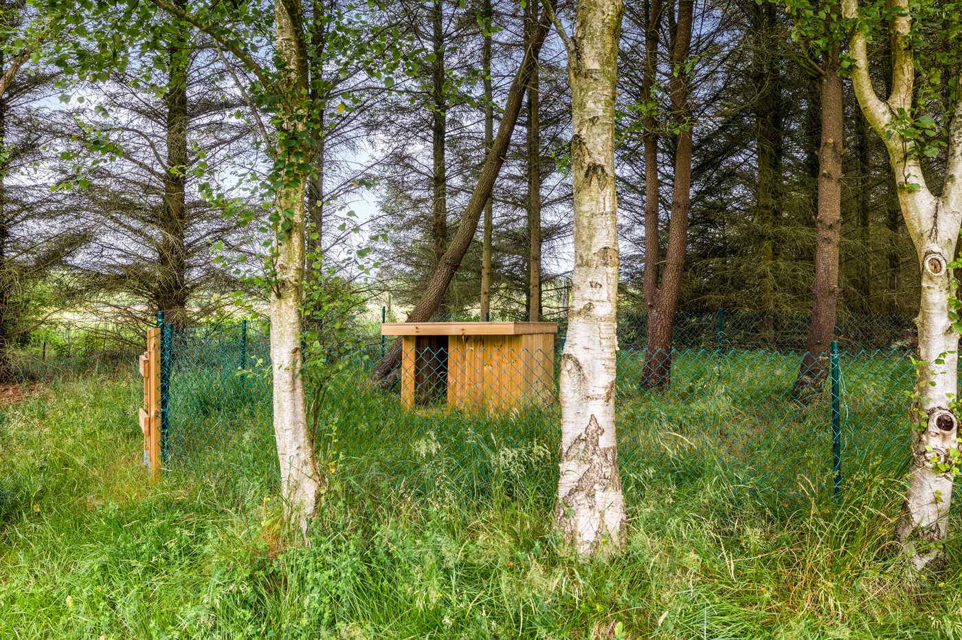 Ferienhaus 23-2106 in Nymindegab - Bild 5