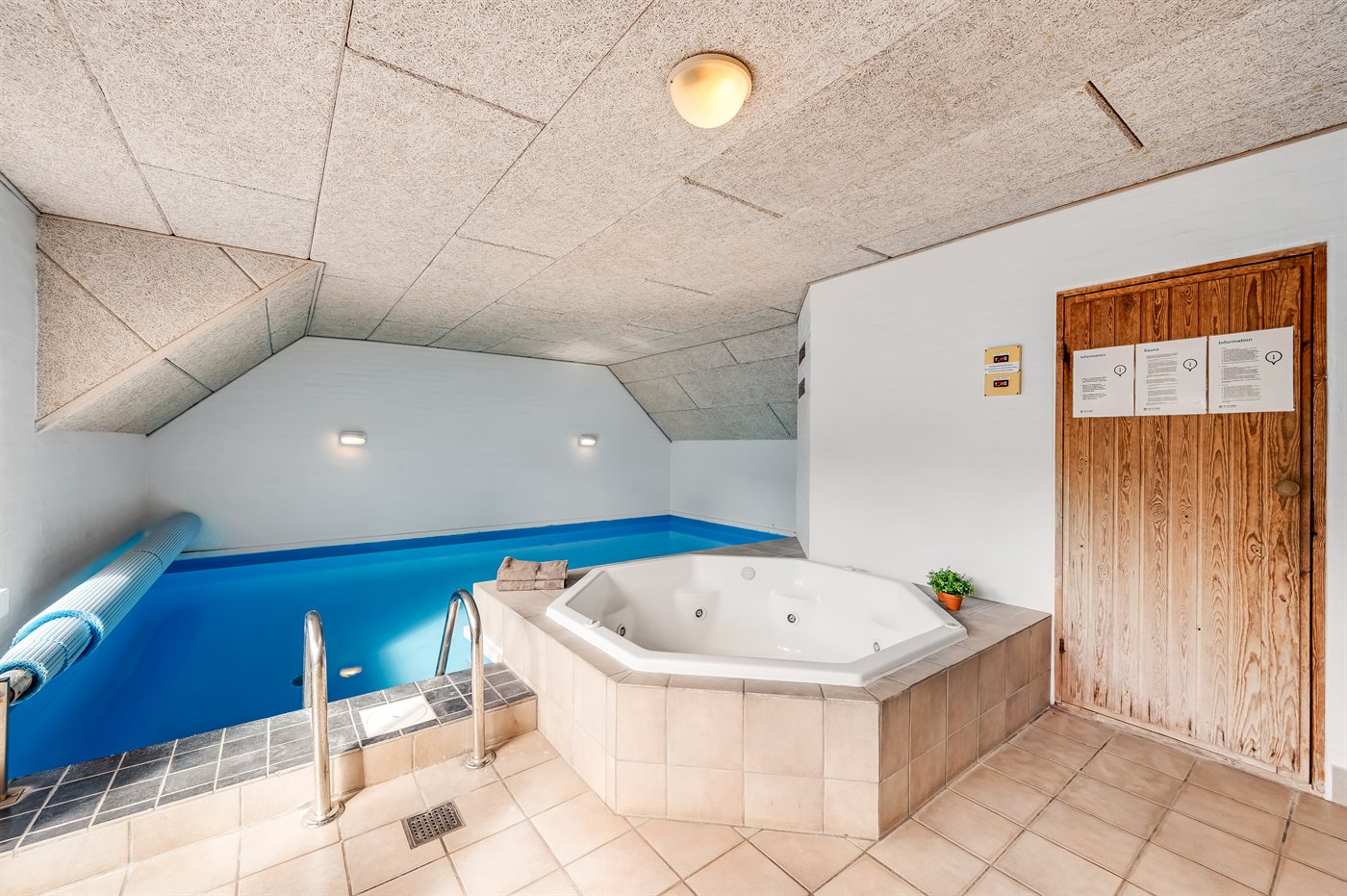 Urlaubstraum mit Pool und Sauna im idyllischen Jegum! - Bild 3