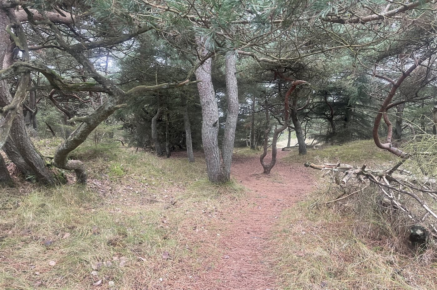 Gemütliches Ferienhaus in Vejers Strand – Entspannung pur! - Bild 4