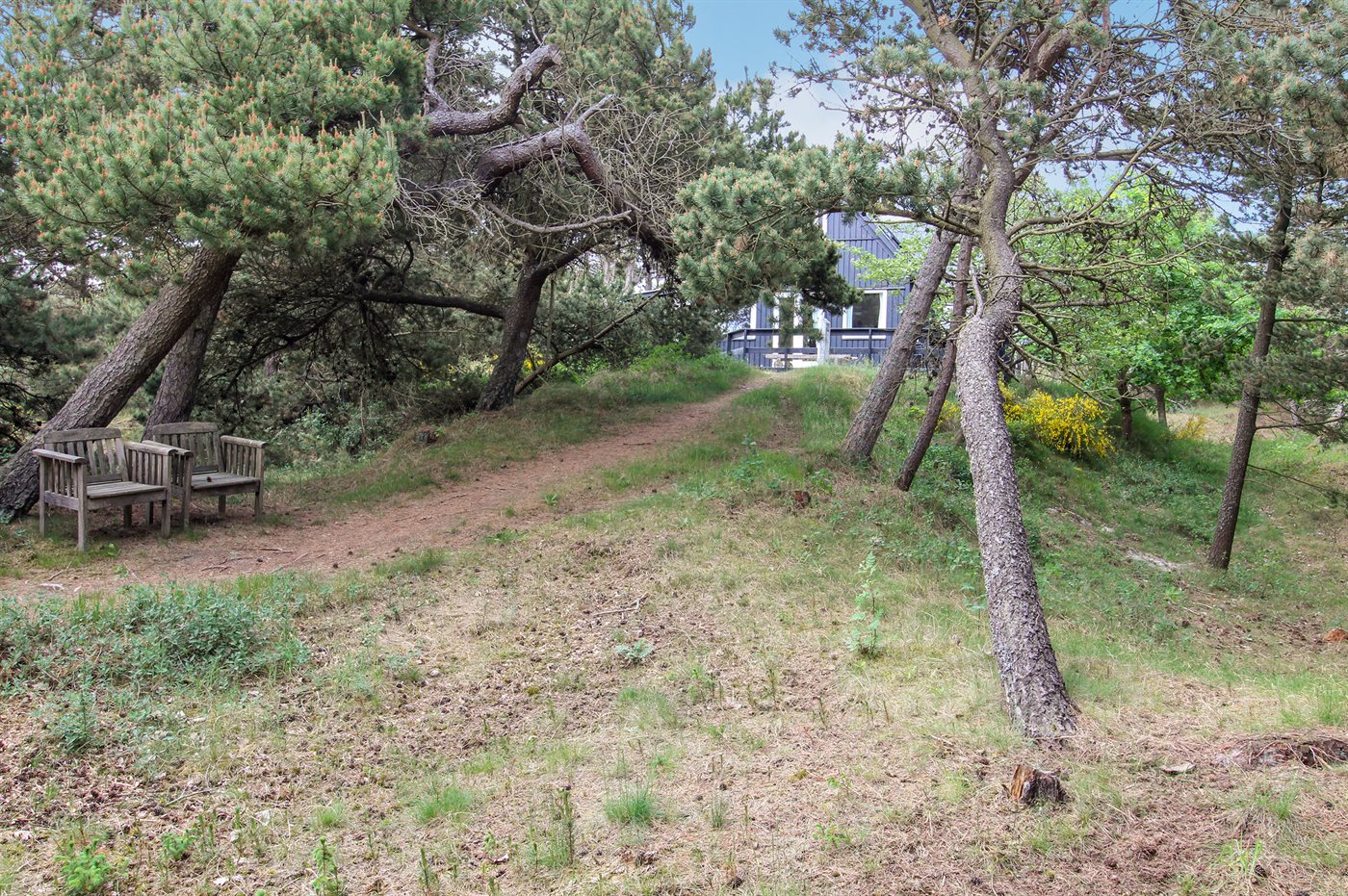 Dein gemütliches Ferienhaus in Vejers Strand erwartet dich! - Bild 3