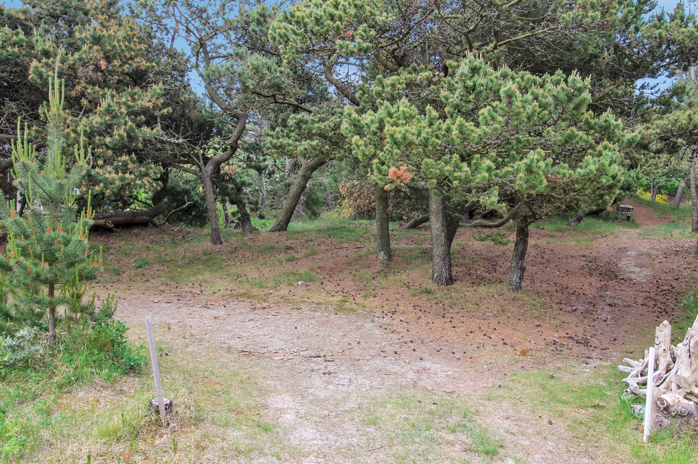 Dein gemütliches Ferienhaus in Vejers Strand erwartet dich! - Bild 5