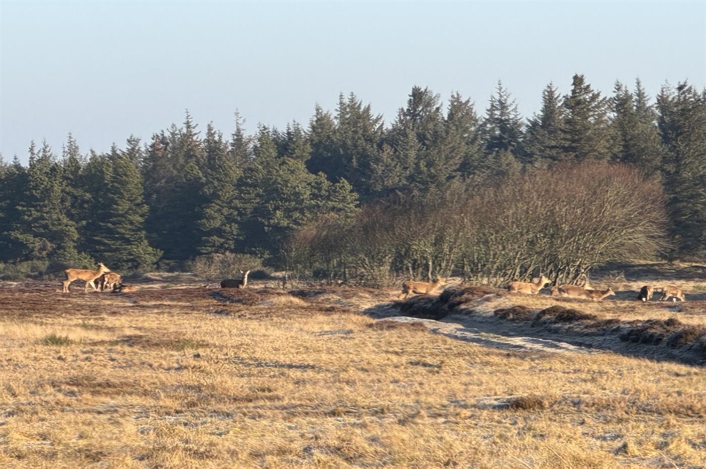 Gemütliche Strandvilla mit Sauna, Kamin & Meerblick in Vejers - Bild 5