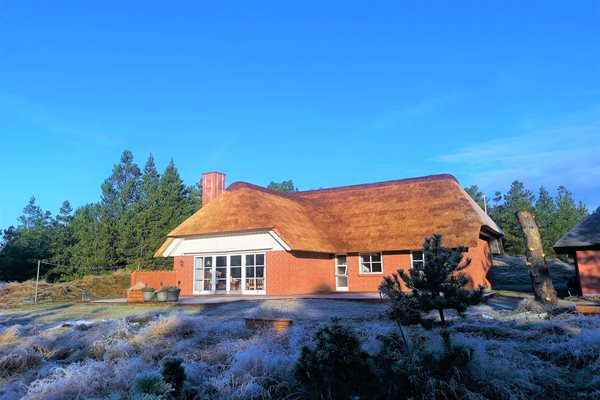 Sommerhus Blaavand (Møllehusvej) til 7 personer