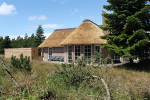 Ferienhaus, 26-0828, Blavand