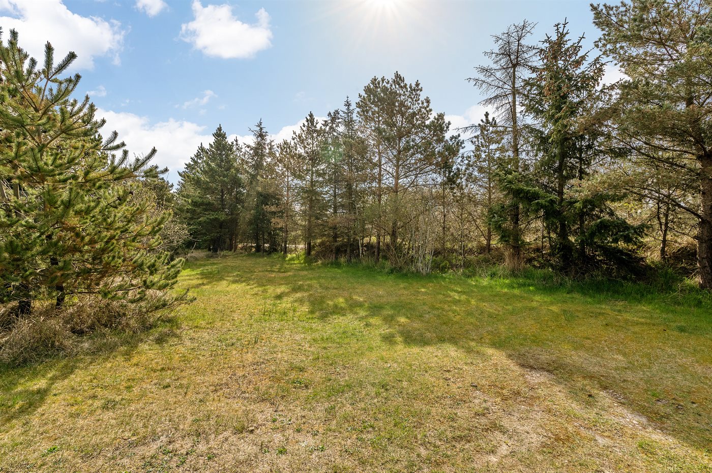 Dein Traum-Ferienhaus in Blåvand – Entspannung pur!