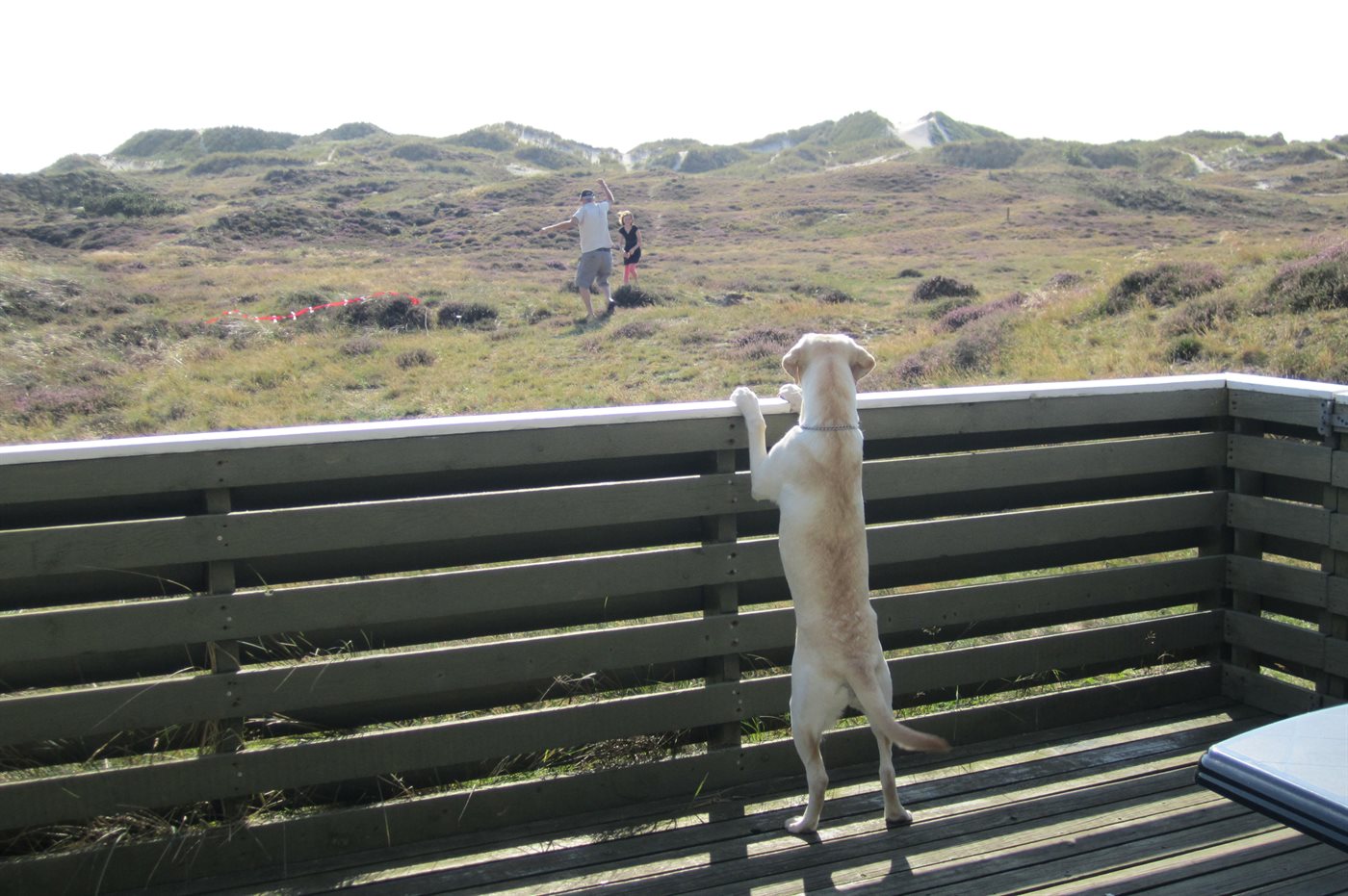 Entspanne im charmanten Ferienhaus auf Fanø! - Bild 2