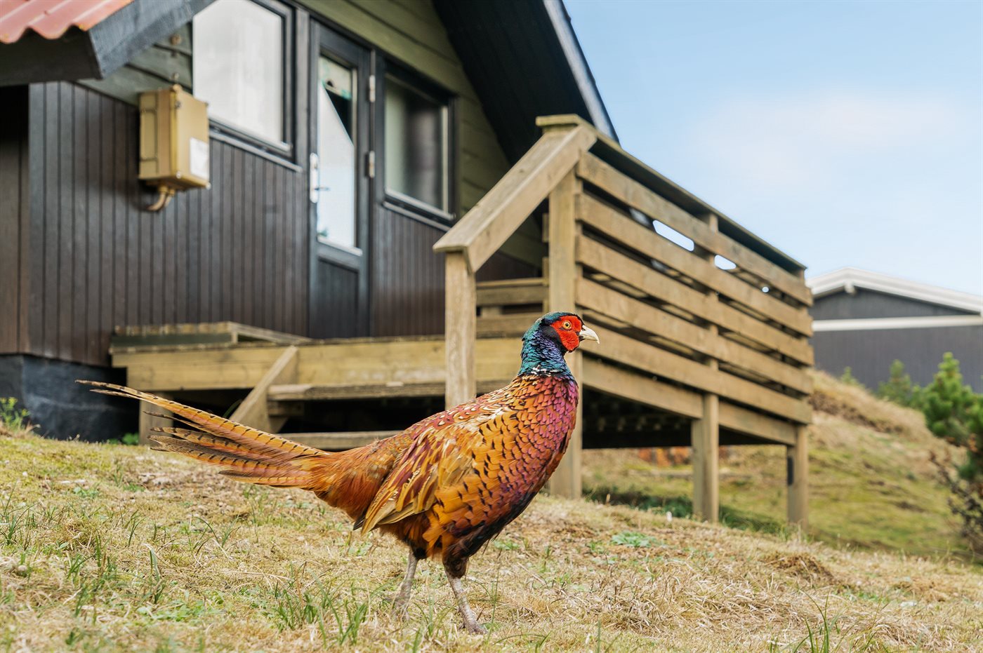 Idyllisches Ferienhaus in Rindby Strand – Dein Rückzugsort! - Bild 2