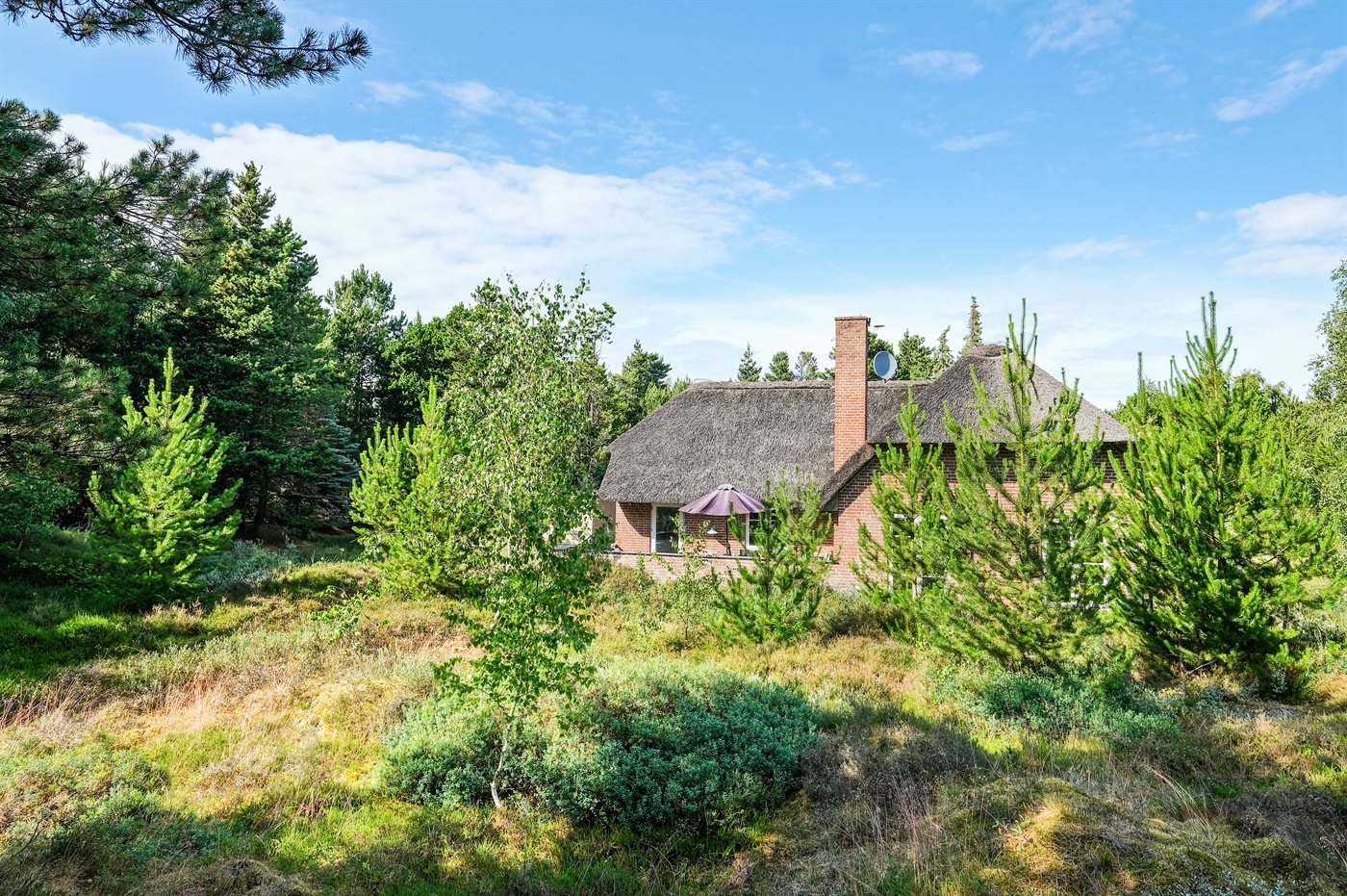 Ferienhaus 29-1931 in Römö, Toftum - Bild 5