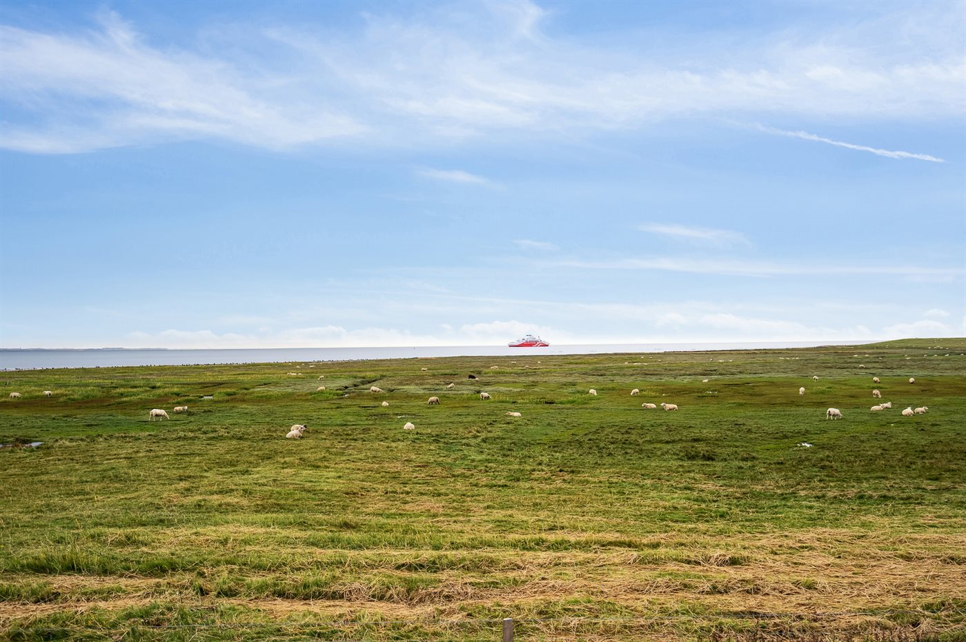 Entspanne am Meer: Dein Traumferienhaus auf Rømø - Bild 2