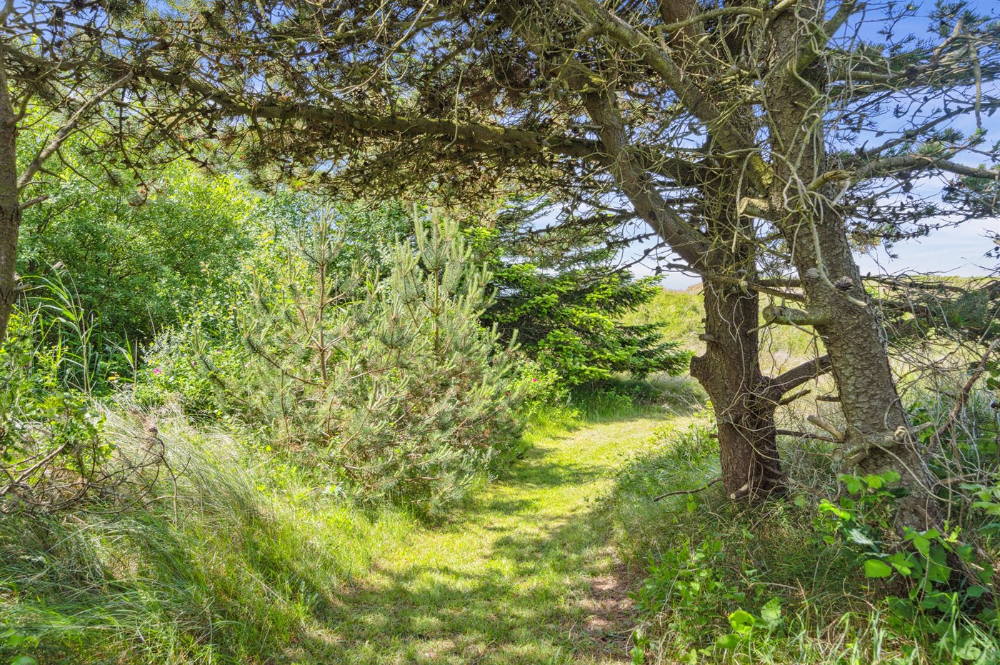 Dein Traumferienhaus auf Rømø – Natur und Gemütlichkeit pur! - Bild 3