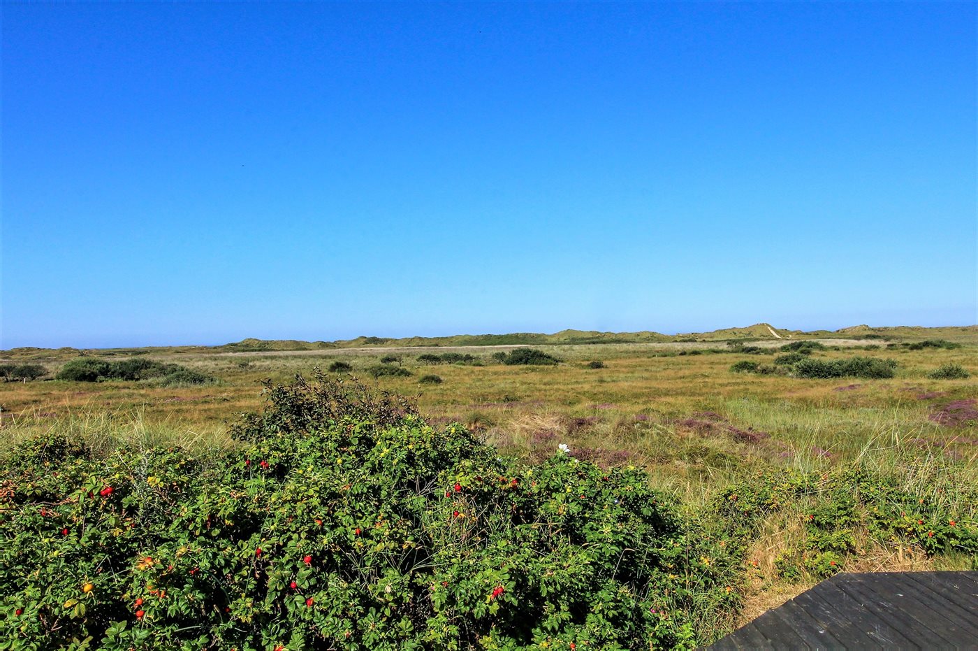 Ferienhaus 29-1981 in Römö, Lakolk - Bild 2