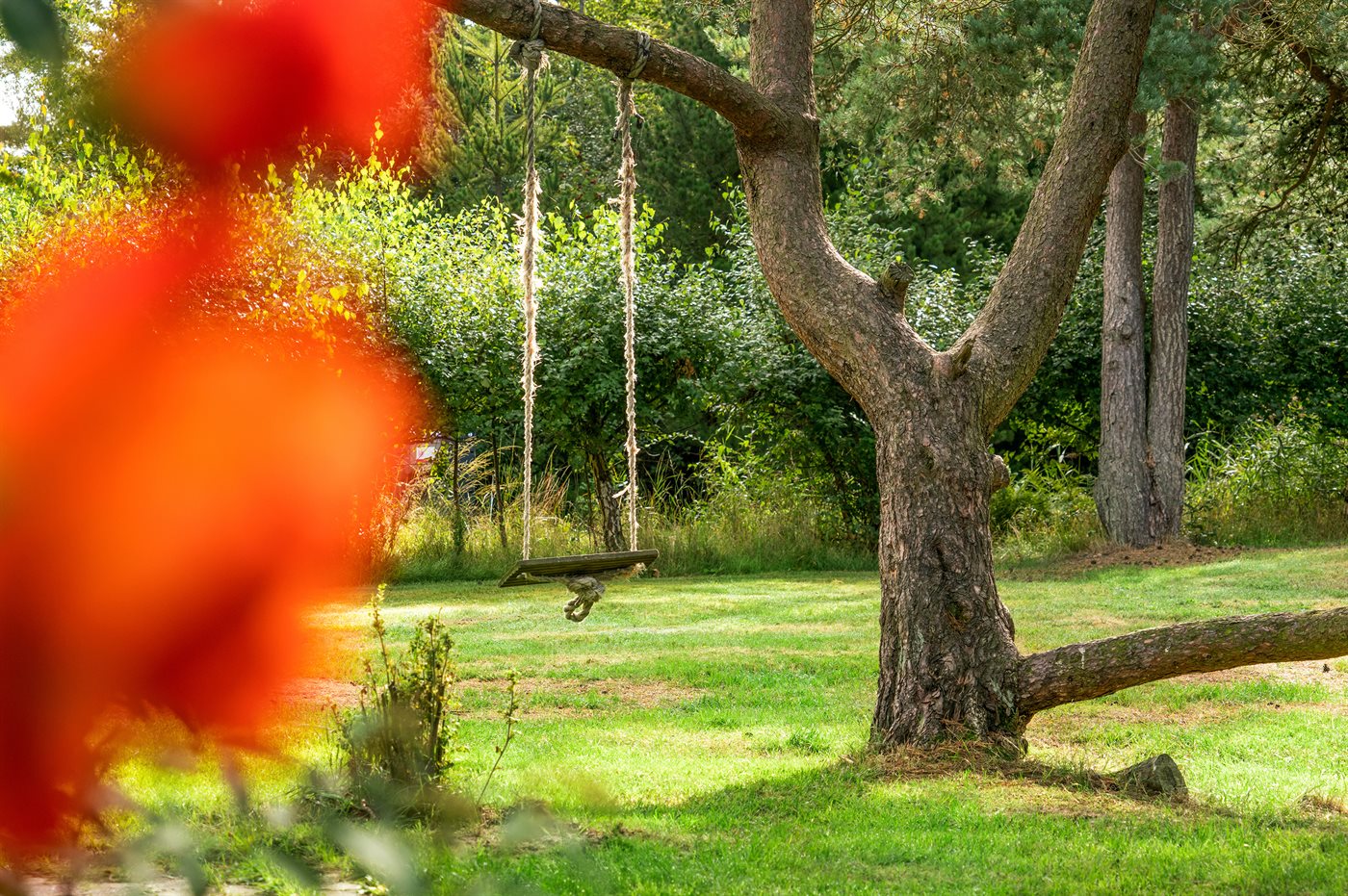 Wohltuende Auszeit im charmanten Reetdachhaus auf Rømø! - Bild 4