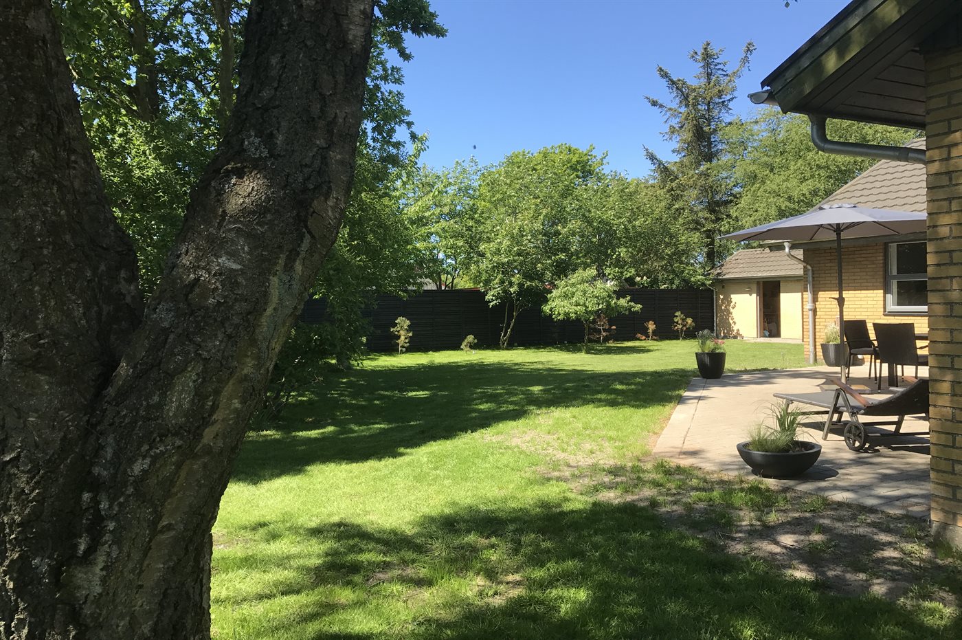 Ferienhaus 29-2211 in Römö, Havneby - Bild 5