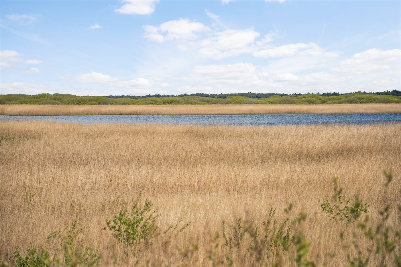 Ferienhaus 29-2248 in Römö, Lakolk - Bild 3