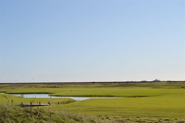 Sommerhus 29-2249
