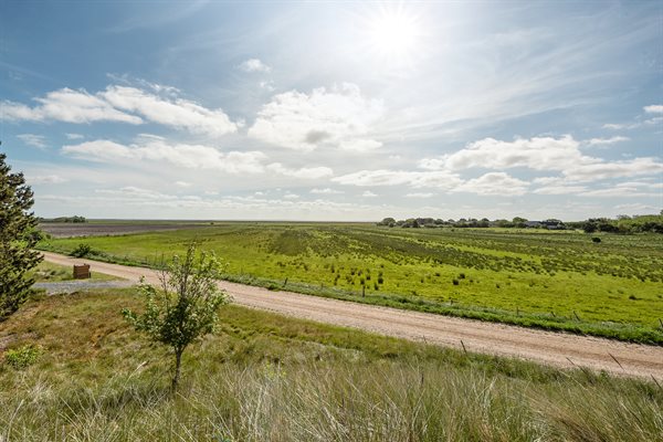 Sommerhus 29-2289