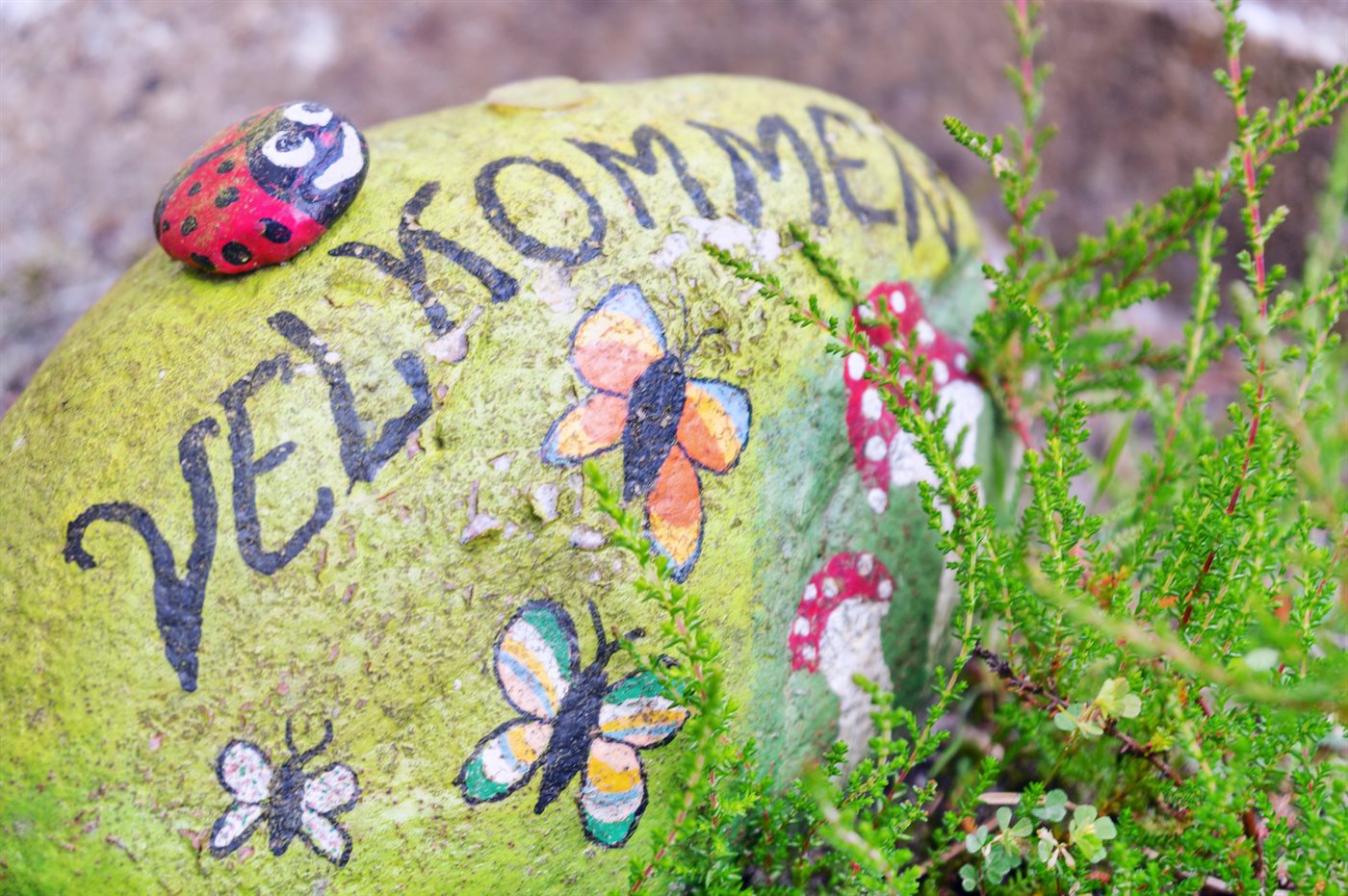 Ferienhaus 29-2331 in Römö, Toftum - Bild 2