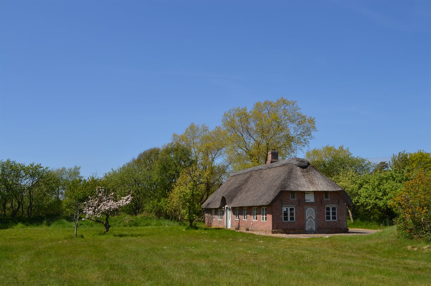Ein kleines rotes Haus steht auf einem grasbewachsenen Hügel am Meer.